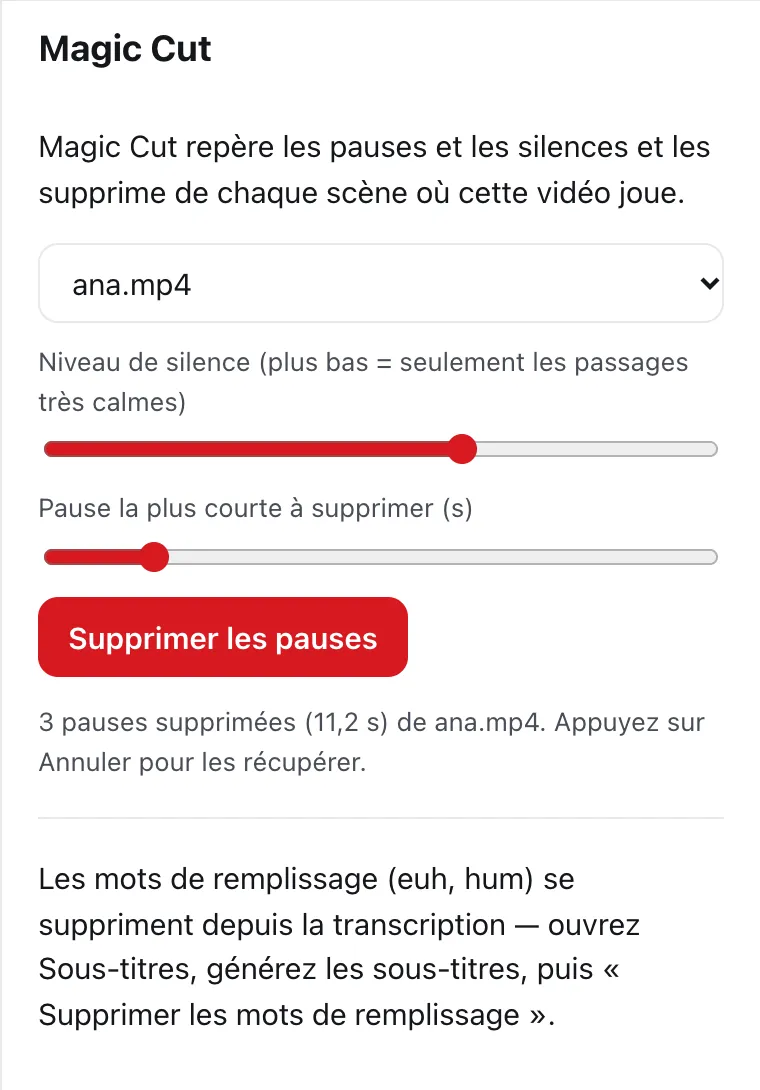 Le panneau Magic Cut de DailyCut après la suppression de 3 pauses dans un enregistrement de démonstration