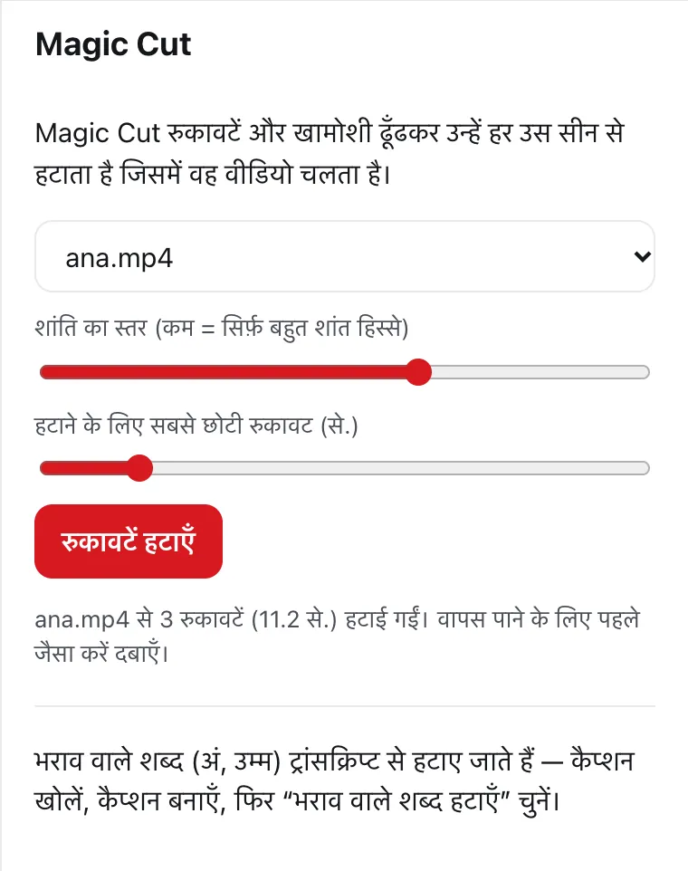 DailyCut का Magic Cut पैनल, एक डेमो रिकॉर्डिंग से 3 रुकावटें हटाने के बाद