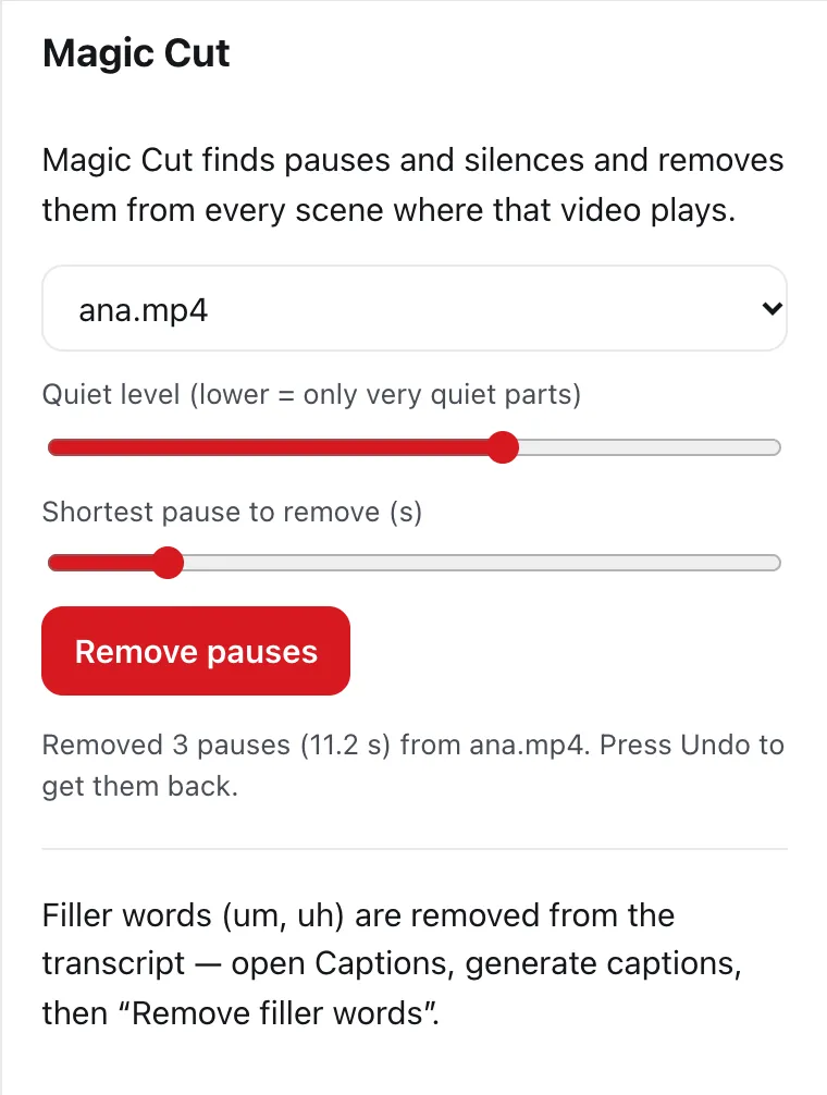 DailyCut’s Magic Cut panel after removing 3 pauses from a demo recording